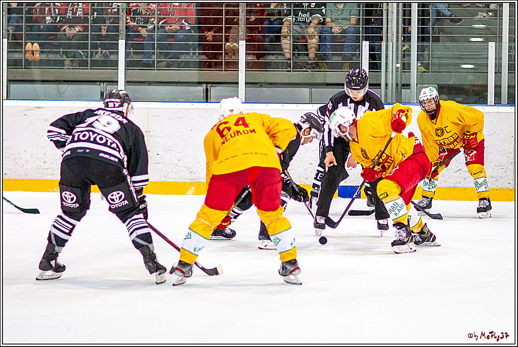 Koeln Cup 2019, Koelner Haie - SCL-Tigers Langnau 3-2, 15.08.2019